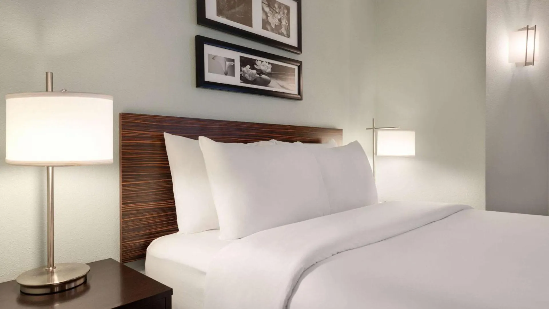 Wingate By Wyndham Salisbury Hotel
